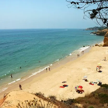 Apart. T1 Valmangude Apartamento